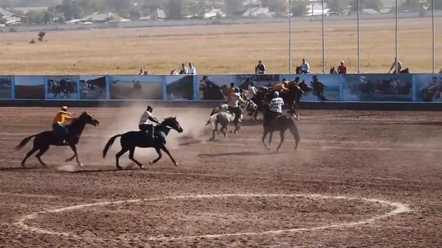 Match de Bouzkachi à Bishkek смотреть онлайн