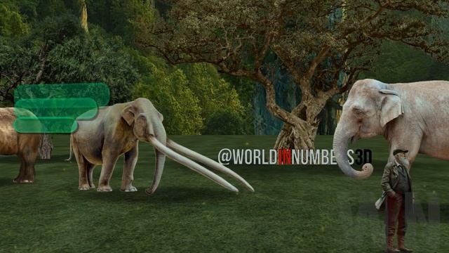 Elephants Size Comparison | Biggest Elephants