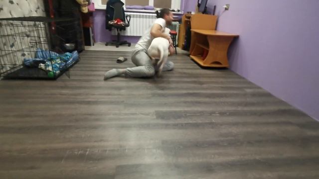 Собака сошла с ума смотреть онлайн