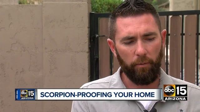 Pest proof your home ahead of scorpion season смотреть онлайн