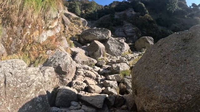 TRIUND TREK || BEAUTIFUL TREK NEAR DHARAMSHALA(HIMACHAL PRADESH) || Complete details about the Trek смотреть онлайн