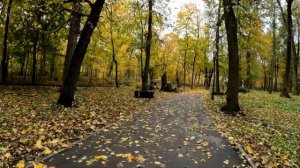 Прогулка по г.Щекино 22 окт 23 - ул. Льва Толстого и Центральный парк с памятником Игорю Талькова