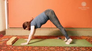 Азбука Йоги (Урок 3 - Адхо Мукха Шванасана)