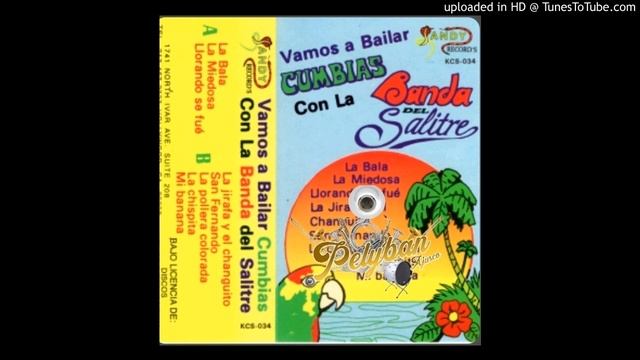 04 LA JIRAFA Y EL CHANGUITO смотреть онлайн