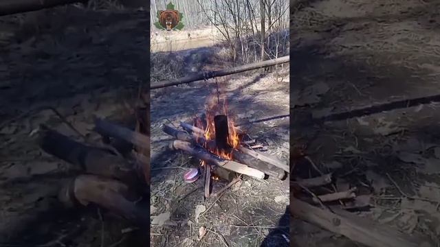 За саженцами Пихты. смотреть онлайн