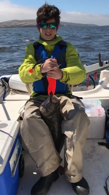 Tomales Bay Halibut смотреть онлайн