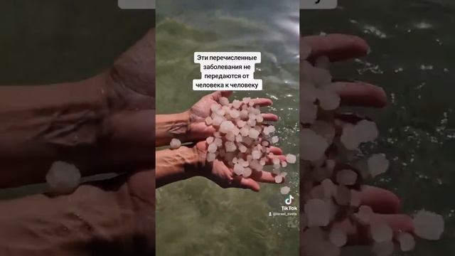 5 интересных фактов о Мёртвом море смотреть онлайн