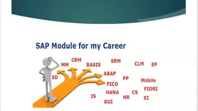 Top SAP Most Demanding Modules In 2024 смотреть онлайн