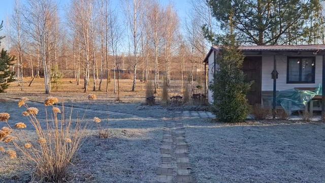 #8 С праздником! На дачу