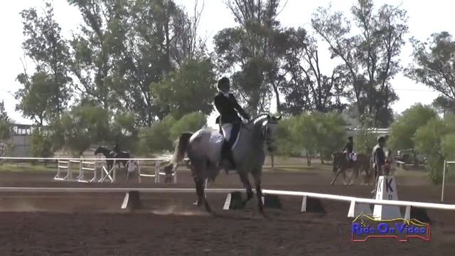 211D Lisa Sabo on Stellor Rockafella Open Novice Dressage Copper Meadows September 2014 смотреть онлайн