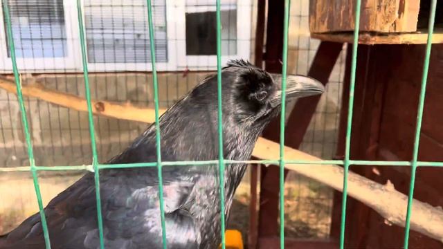 7 мая 2022 г. смотреть онлайн