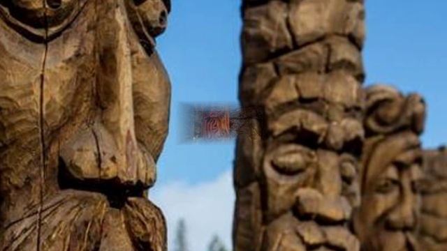Звёздный океан тайги смотреть онлайн