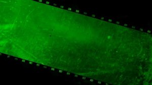 4K 60FPS Movie Film Damage Effect Old Film Green Screen Effect
