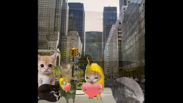 Baby Banana Cat Compilation 😺❤️ 2 Minutes #4 смотреть онлайн