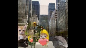 Baby Banana Cat Compilation 😺❤️ 2 Minutes #4