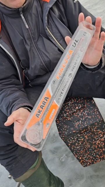 Находки на водоёме смотреть онлайн