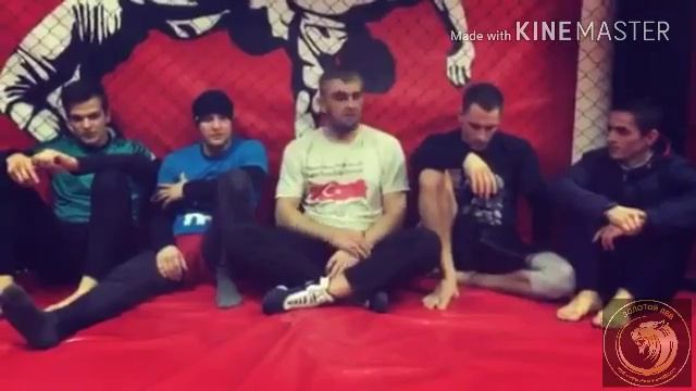 Сборнико о ЦФО смотреть онлайн