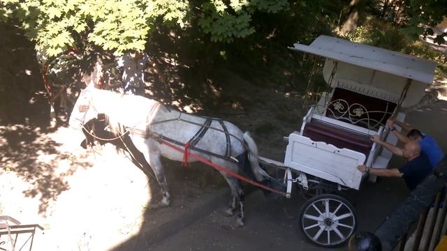 Розпрягайте, хлопці, коні!))) смотреть онлайн