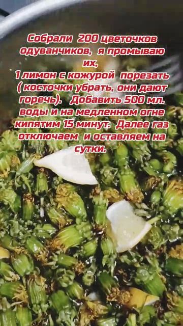 Варенье из одуванчика. Аптека под ногами #shortvideo #здоровье#одуванчик #piano #music смотреть онлайн