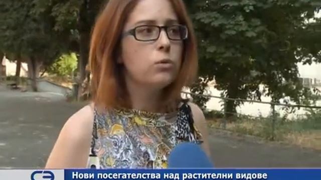 Нови посегателства над растителни видове в Бедечка смотреть онлайн