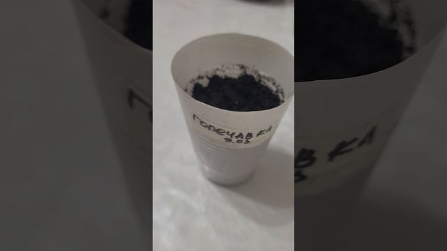 ГОРЕЧАВКА НЕПРИХОТЛИВЫЙ МНОГОЛЕТНИК КОТОРЫЙ ЦВЕТЕТ ВСЕ ЛЕТО! смотреть онлайн