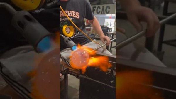 Professionals at work