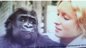 7-2++++  СОЗНАНИЕ  Семиотика семантика  Потенциал семиотики  Каракатица  бабочки  Фонемы человека