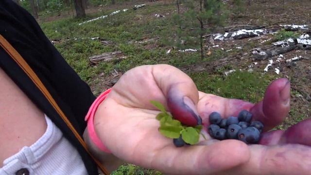 Vlog:Черничная история смотреть онлайн