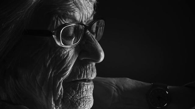 A German Life смотреть онлайн