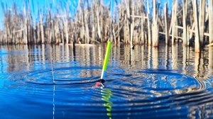 Не верил в успех этой рыбалки! А тут КРУПНЫЙ КАРАСЬ на ПОПЛАВОК!!! Весна 2025