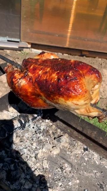 Курица гриль на мангале