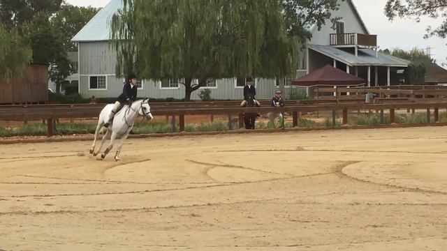 Sonoma 4 2016 Petey Horse & Hound 83