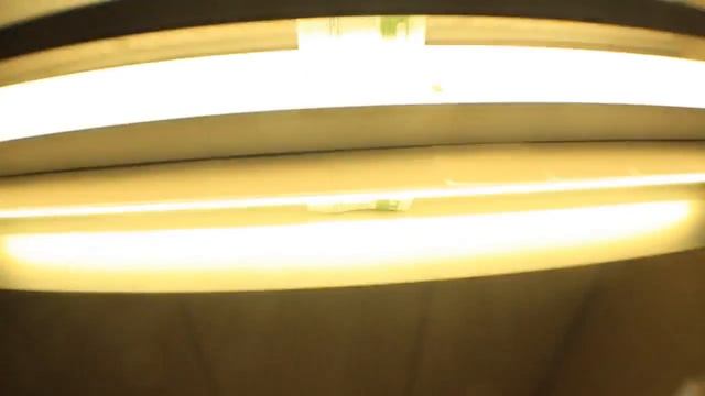 Vacation - Strange Fascinations (Official Music Video) смотреть онлайн