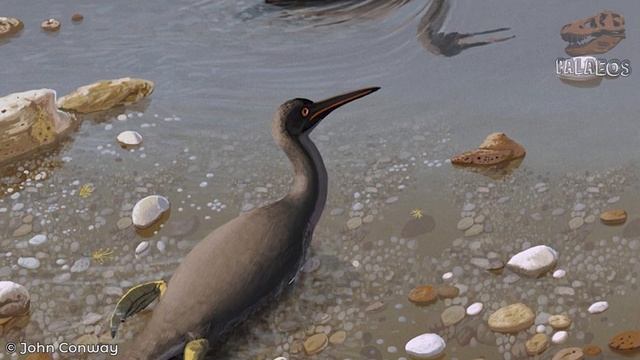 ¿Qué #@%! es un DINOSAURIO? - Y ¿por qué las aves son dinosaurios? смотреть онлайн