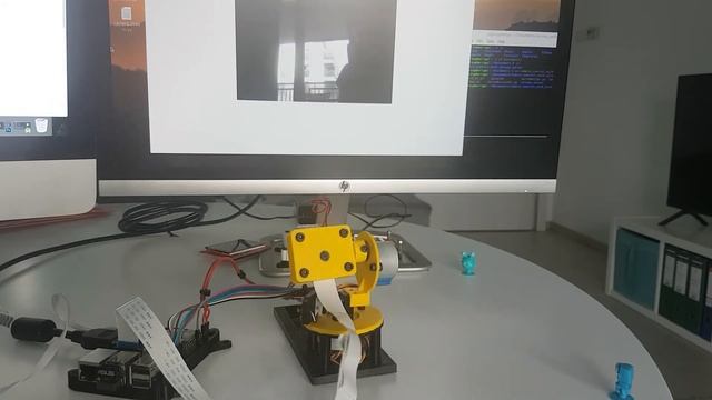 Raspberry Camera Gimbal смотреть онлайн