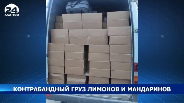 В Баткене пресекли контрабанду более 3 тонн лимона и более 5 тонн мандарина смотреть онлайн