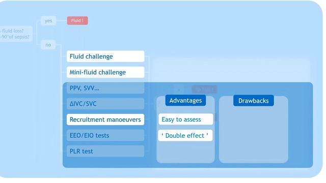 Bringing solutions with dynamic measures and PLR Xavier Monnet 2019