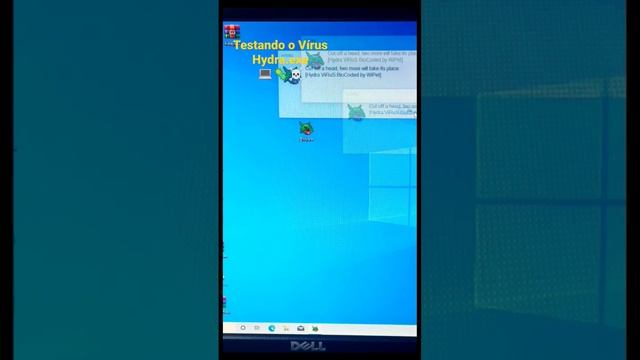 Testando o Vírus Hydra.exe 🐉-☠️🦠💻 #informatica #virus #virusdetected #hack #computers #viruskiller смотреть онлайн