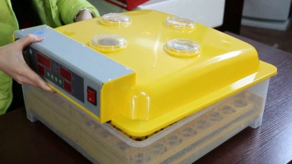 WQ-48 mini egg incubator