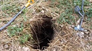 В металлоКоПе и такое бывает!!!