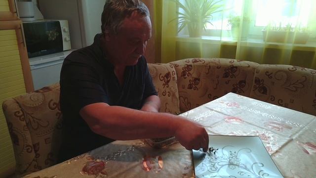 Русская деревня 2D. 3 серия. Микрозелень и бутерброды