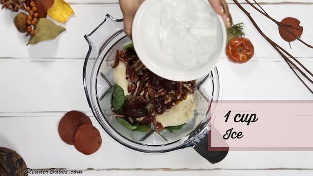 Pumpkin Pecan Pie Green Smoothie in Vitamix 750 смотреть онлайн