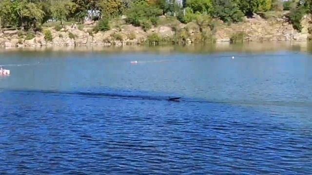Rc boat. Ecomaster 2018 ECO MINI final run. смотреть онлайн