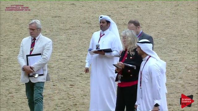 N 129 MAHARAANI 21st Qatar National 2018 Fillies 2 years old Class 4A смотреть онлайн