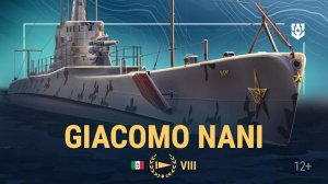 Гарибальдийские бригады — Giacomo Nani