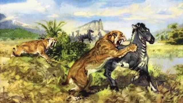 Сквернозуб: объявляется охота на диких лошадей. смотреть онлайн