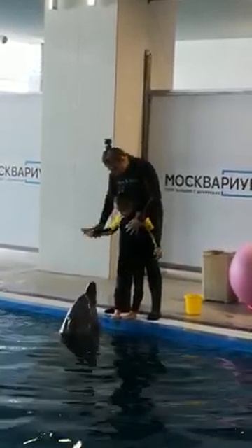 Лечим ДЦП с помощью дельфинов 🐬 смотреть онлайн