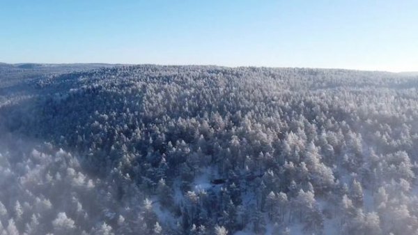 Dance of the Moon (dancing with the elements) Oslomarka