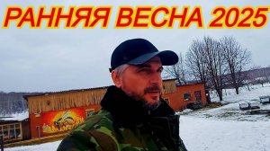 когда выставлять пчёл из зимовника