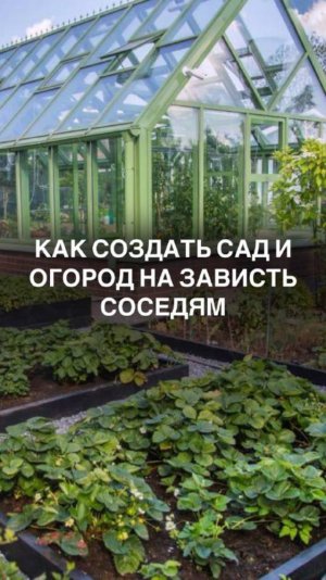 Как создать сад и огород на зависть соседям #садоводство #огородники #урожайбеззабот #урожайныйгод